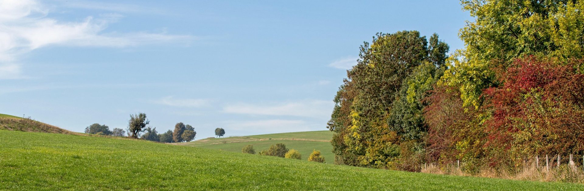 Header afbeelding